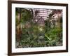 Garfield Park Conservatory Reflecting Pool-Steve Gadomski-Framed Photographic Print