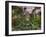 Garfield Park Conservatory Reflecting Pool-Steve Gadomski-Framed Premium Photographic Print
