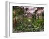 Garfield Park Conservatory Reflecting Pool-Steve Gadomski-Framed Premium Photographic Print