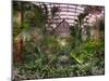 Garfield Park Conservatory Reflecting Pool-Steve Gadomski-Mounted Premium Photographic Print