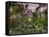 Garfield Park Conservatory Reflecting Pool-Steve Gadomski-Framed Stretched Canvas