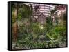 Garfield Park Conservatory Reflecting Pool-Steve Gadomski-Framed Stretched Canvas