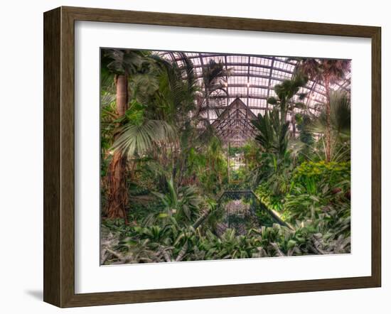 Garfield Park Conservatory Reflecting Pool-Steve Gadomski-Framed Photographic Print