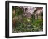 Garfield Park Conservatory Reflecting Pool-Steve Gadomski-Framed Photographic Print