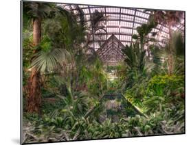 Garfield Park Conservatory Reflecting Pool-Steve Gadomski-Mounted Photographic Print