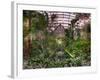 Garfield Park Conservatory Reflecting Pool-Steve Gadomski-Framed Photographic Print