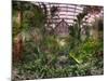 Garfield Park Conservatory Reflecting Pool-Steve Gadomski-Mounted Photographic Print