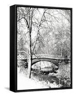 Garfield Park, Indianapolis City Park, Indiana, Usa-Anna Miller-Framed Stretched Canvas