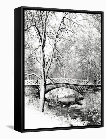Garfield Park, Indianapolis City Park, Indiana, Usa-Anna Miller-Framed Stretched Canvas
