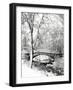 Garfield Park, Indianapolis City Park, Indiana, Usa-Anna Miller-Framed Photographic Print