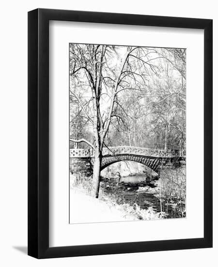 Garfield Park, Indianapolis City Park, Indiana, Usa-Anna Miller-Framed Photographic Print