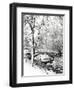 Garfield Park, Indianapolis City Park, Indiana, Usa-Anna Miller-Framed Photographic Print
