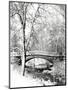 Garfield Park, Indianapolis City Park, Indiana, Usa-Anna Miller-Mounted Photographic Print