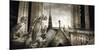 Gargouilles de Notre Dame, Paris-Stephane Rey-Gorrez-Mounted Art Print