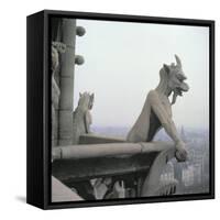 Gargoyle from the Balustrade of the Grande Galerie, Replica of a 12th Century Original-Eug?ne Viollet-le-Duc-Framed Stretched Canvas