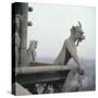 Gargoyle from the Balustrade of the Grande Galerie, Replica of a 12th Century Original-Eug?ne Viollet-le-Duc-Stretched Canvas