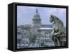 Gargoyle Looking Toward the Pantheon-Michel Setboun-Framed Stretched Canvas