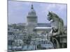 Gargoyle Looking Toward the Pantheon-Michel Setboun-Mounted Photographic Print