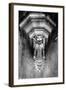 Gargoyle, Meillant Chateau, Loire Valley, France-Simon Marsden-Framed Giclee Print