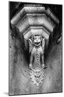 Gargoyle, Meillant Chateau, Loire Valley, France-Simon Marsden-Mounted Giclee Print