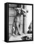 Gargoyle of Cerebus at Notre Dame-null-Framed Stretched Canvas