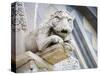 Gargoyle of Duomo Pisa, Pisa, Italy-Dennis Flaherty-Stretched Canvas