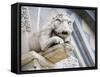 Gargoyle of Duomo Pisa, Pisa, Italy-Dennis Flaherty-Framed Stretched Canvas