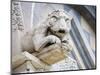 Gargoyle of Duomo Pisa, Pisa, Italy-Dennis Flaherty-Mounted Photographic Print