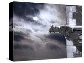 Gargoyle on Building at Night-Roger Brooks-Stretched Canvas