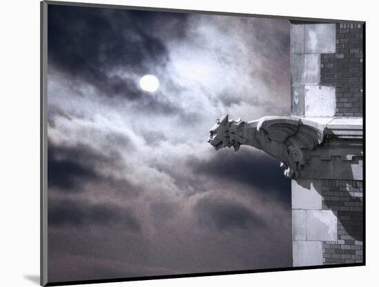 Gargoyle on Building at Night-Roger Brooks-Mounted Photographic Print