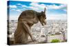 Gargoyle on Notre Dame Cathedral, France-neirfy-Stretched Canvas