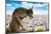 Gargoyle on Notre Dame Cathedral, France-neirfy-Mounted Photographic Print