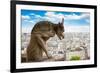 Gargoyle on Notre Dame Cathedral, France-neirfy-Framed Photographic Print