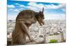 Gargoyle on Notre Dame Cathedral, France-neirfy-Mounted Photographic Print