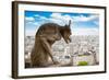 Gargoyle on Notre Dame Cathedral, France-neirfy-Framed Photographic Print