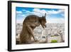 Gargoyle on Notre Dame Cathedral, France-neirfy-Framed Photographic Print