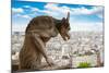 Gargoyle on Notre Dame Cathedral, France-neirfy-Mounted Photographic Print