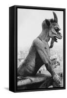 Gargoyle on Notre Dame Cathedral-null-Framed Stretched Canvas