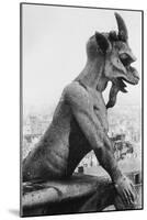 Gargoyle on Notre Dame Cathedral-null-Mounted Photographic Print