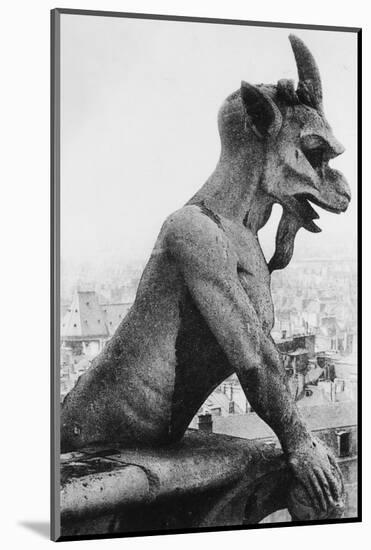 Gargoyle on Notre Dame Cathedral-null-Mounted Photographic Print