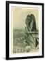 Gargoyle on Notre Dame, Paris-null-Framed Art Print