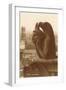 Gargoyle on Notre Dame, Paris-null-Framed Art Print
