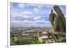 Gargoyle on the roof of Notre Dame cathedral looks out over Paris, France.-Tom Haseltine-Framed Photographic Print