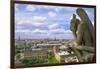 Gargoyle on the roof of Notre Dame cathedral looks out over Paris, France.-Tom Haseltine-Framed Photographic Print