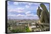 Gargoyle on the roof of Notre Dame cathedral looks out over Paris, France.-Tom Haseltine-Framed Stretched Canvas