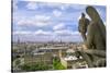 Gargoyle on the roof of Notre Dame cathedral looks out over Paris, France.-Tom Haseltine-Stretched Canvas