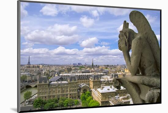 Gargoyle on the roof of Notre Dame cathedral looks out over Paris, France.-Tom Haseltine-Mounted Photographic Print