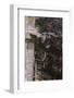 Gargoyle on tower, York Minster, 1958-CM Dixon-Framed Photographic Print