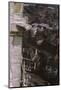 Gargoyle on tower, York Minster, 1958-CM Dixon-Mounted Photographic Print