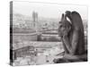 Gargoyle Statue at a Cathedral, Notre Dame, Paris, Ile-De-France, France-null-Stretched Canvas